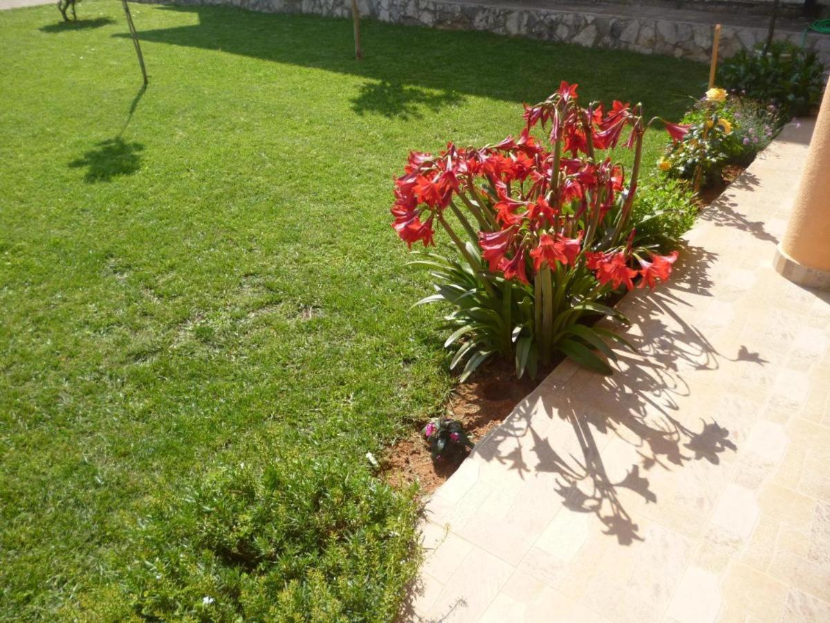 Apartments And Rooms Mara I Pavo Medjugorje Luaran gambar